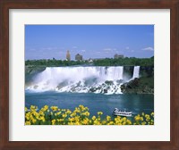 Framed Flowers in front of a waterfall, American Falls, Niagara Falls, New York, USA