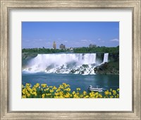 Framed Flowers in front of a waterfall, American Falls, Niagara Falls, New York, USA