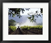 Framed Tractor in a field, Napa Valley, California, USA