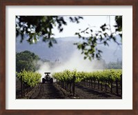 Framed Tractor in a field, Napa Valley, California, USA
