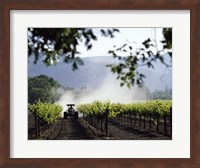 Framed Tractor in a field, Napa Valley, California, USA