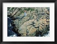 Framed Aerial view of a lighthouse at the coast, Peggy's Cove, Nova Scotia, Canada