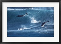 Framed Dolphins Catching A Wave