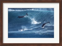 Framed Dolphins Catching A Wave