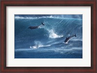 Framed Dolphins Catching A Wave