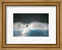 Framed Dolphin breaching in the sea