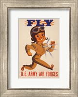Framed Fly U.S. Army Air Forces