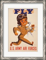 Framed Fly U.S. Army Air Forces