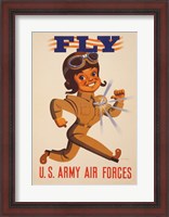 Framed Fly U.S. Army Air Forces