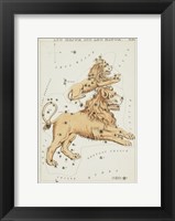 Framed Leo Major and Leo Minor Constellation