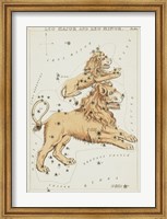 Framed Leo Major and Leo Minor Constellation
