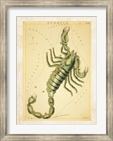 Framed Scorpio Zodiac Sign