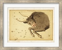 Framed Taurus Zodiac Sign