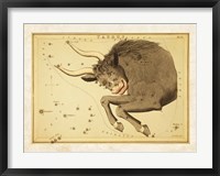 Framed Taurus Zodiac Sign