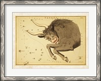 Framed Taurus Zodiac Sign