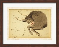 Framed Taurus Zodiac Sign