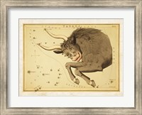 Framed Taurus Zodiac Sign