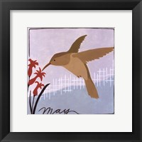 Framed Avian May