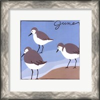 Framed Avian June