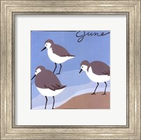 Framed Avian June