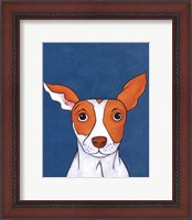 Framed Pet Portraits II