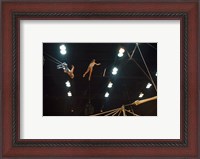 Framed Flying Redpaths Royal Hanneford Circus in action