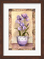 Framed Spring Iris