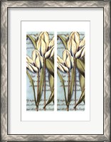 Framed 2up French Tulip I