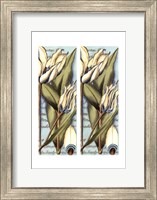 Framed 2up French Tulip II