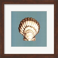 Framed Shell on Aqua III