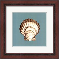 Framed Shell on Aqua III