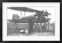 Framed Albatos D.III