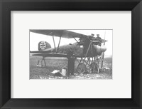 Framed Albatos D.III