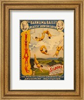 Framed Trapeze Artists, Barnum & Bailey, 1896