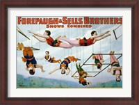 Framed Trapeze Artists 1899