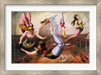 Framed Trapeze Artists in Circus