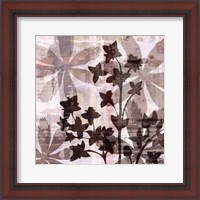 Framed Wallflower III