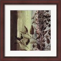 Framed Painted Botanical IV