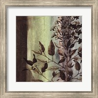 Framed Painted Botanical IV