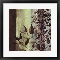 Painted Botanical IV Framed Print