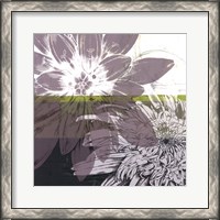 Framed Graphic Blooms I