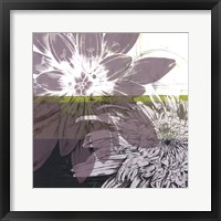 Framed Graphic Blooms I