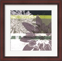 Framed Graphic Blooms II