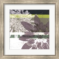 Framed Graphic Blooms II