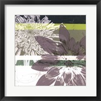 Graphic Blooms II Framed Print