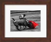 Framed Red Matador III