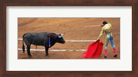 Framed Bull and Matador Stand Off