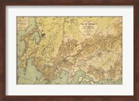 Framed Mapa da Cidade do Rio de Janeiro - 1929