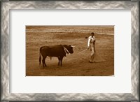 Framed Matador and Bull
