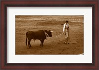 Framed Matador and Bull